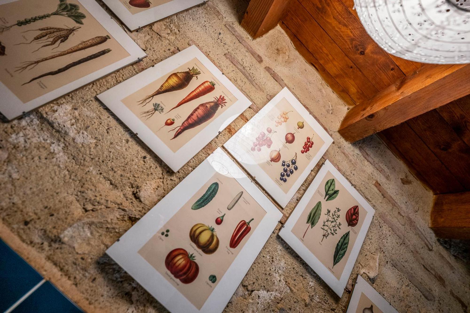 La Maison De L'Ecolieu Du Turc - Piscine Partagee Le Mas-dʼAgenais Dış mekan fotoğraf